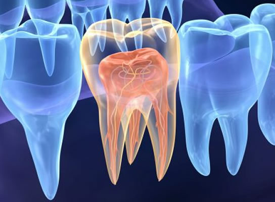 endodontia dentista em hortolândia